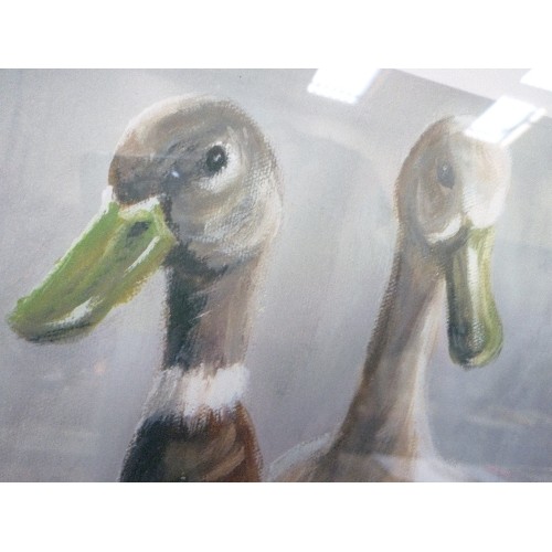 155 - A FRAMED PRINT OF DUCKS 