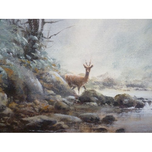 149 - LATE 20TH CENTURY OIL PAINTING ON CANVAS OF A DEER IN A WOODLAND STREAM, SIGNED J HUSH (JOE HUSH, CO... 