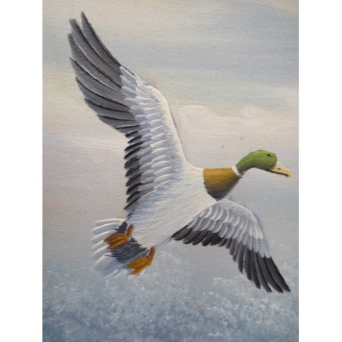 152 - A PAIR OF LATE 20TH CENTURY OIL PAINTINGS ON BOARD OF DUCKS IN FLIGHT, ONE SIGNED 