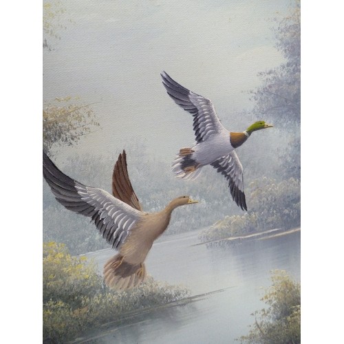 152 - A PAIR OF LATE 20TH CENTURY OIL PAINTINGS ON BOARD OF DUCKS IN FLIGHT, ONE SIGNED 