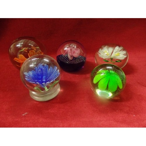 4 - 5 DECORATIVE GLASS PAPERWEIGHTS WITH FLORAL THEME IN DIFFERENT COLOURS