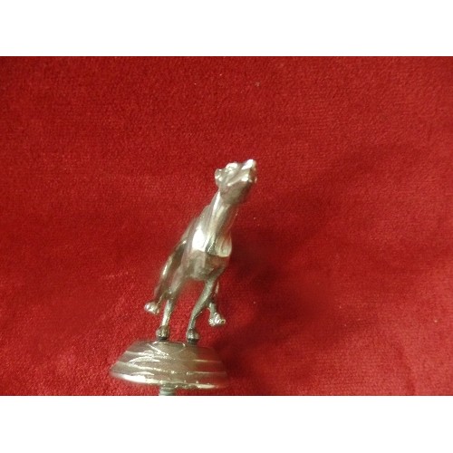 74 - A VINTAGE GREYHOUND CAR MASCOT IN SILVER PLATED METAL - 9CM ACROSS