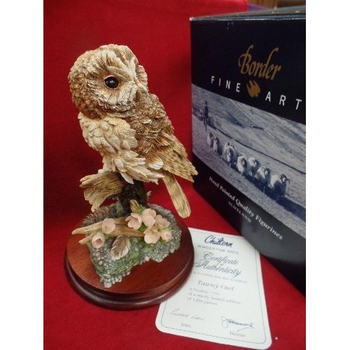 100 - LIMITED EDITION CHILTERN BORDER FINE ARTS TAWNY OWL , 1355/ 1850. WITH CERTIFICATE AND BOX - ON A WO... 