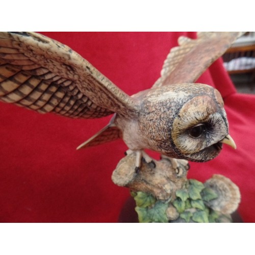 105 - BORDER FINE ARTS TAWNY OWL , STYLE 3 - ON A WOODEN PLINTH. 25CM