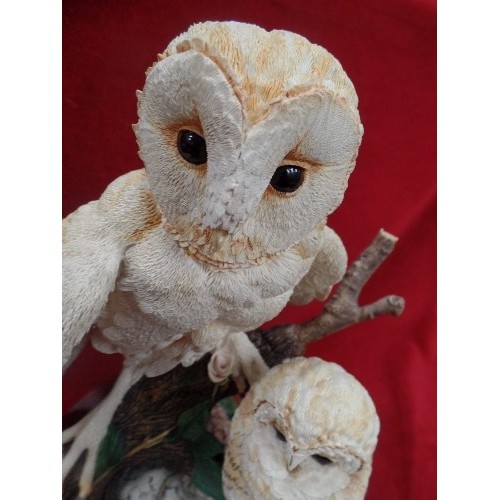 110 - BORDER FINE ARTS BARN OWL& CHICK - WB71 - ON A WOODEN PLINTH. 28CM