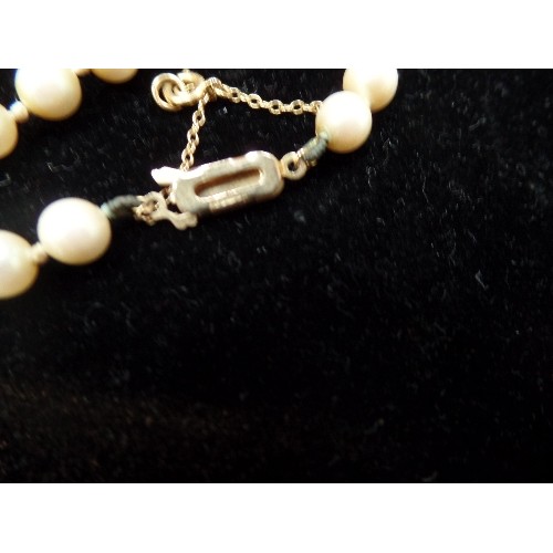 62 - BEAUTIFUL SET OF PEARLS WITH 9CT GOLD CLASP AND SAFETY CHAIN - BOXED