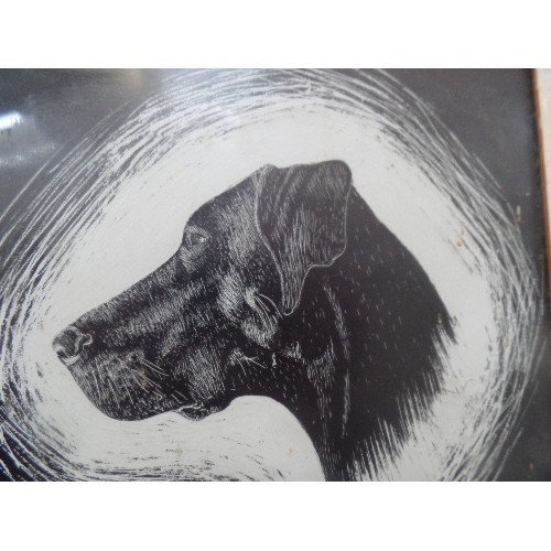 174 - A MID 20TH CENTURY SCRATCH ART PROFILE OF A BLACK LABRADOR - FRAMED AND GLAZED - 18CM X 18CM