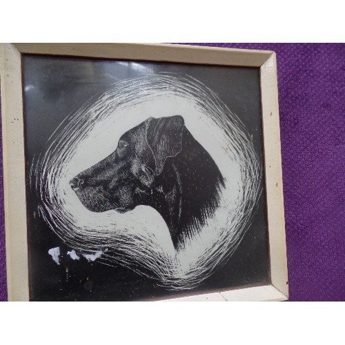 174 - A MID 20TH CENTURY SCRATCH ART PROFILE OF A BLACK LABRADOR - FRAMED AND GLAZED - 18CM X 18CM