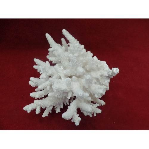 168 - WHITE CORAL. APPROX 14CM H