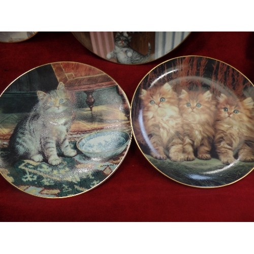 262 - CAT THEMED COLLECTORS PLATES. INC THE HAMILTON COLLECTION & DANBURY MINT. TOGETHER WITH AN RAF 'BIGG... 