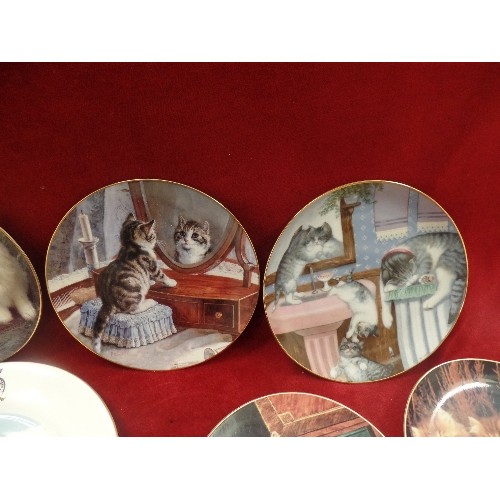 262 - CAT THEMED COLLECTORS PLATES. INC THE HAMILTON COLLECTION & DANBURY MINT. TOGETHER WITH AN RAF 'BIGG... 