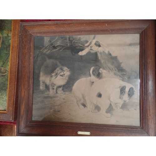 582 - TWO EDWARDIAN PRINTS IN OAK FRAMES INCLUDING  A PRINT WITH PUPPIES AND A CAT BY LILIAN CHEVIOT (1876... 