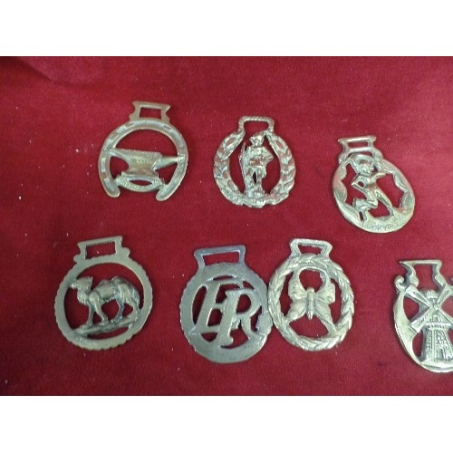 572 - 12 X VINTAGE HORSE BRASSES.