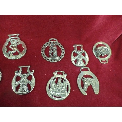 572 - 12 X VINTAGE HORSE BRASSES.