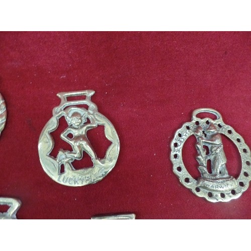 572 - 12 X VINTAGE HORSE BRASSES.