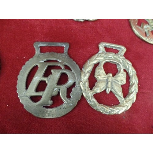 572 - 12 X VINTAGE HORSE BRASSES.