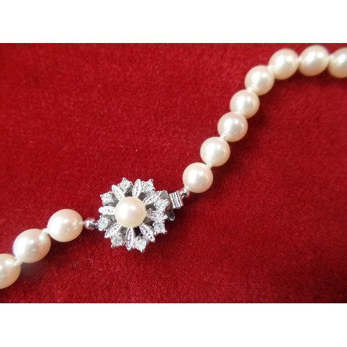 31 - SINGLE STRING OF PEARLS BY SHIMA IN PRESENTATION BOX