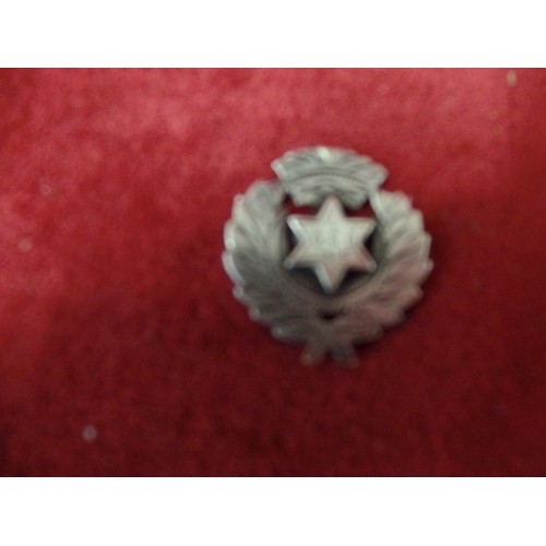 22 - SILVER HALLMARKED BADGE MARKED G.C.G 1913