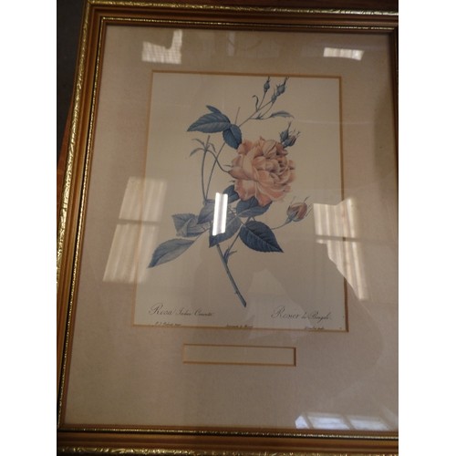 156 - FRAMED AND GLAZED WATERCOLOUR OF FLOWERS IN GLASS VASE SIGNED RICHARD 88 AND 3 PRINTS OF FLOWERS