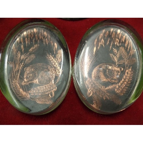 171 - GLASS PAPERWEIGHTS. 2 X ETCHED COPPER OVAL WITH FIELD MICE DETAIL, AND A CIRCULAR WITH SPARKLY FLOWE... 