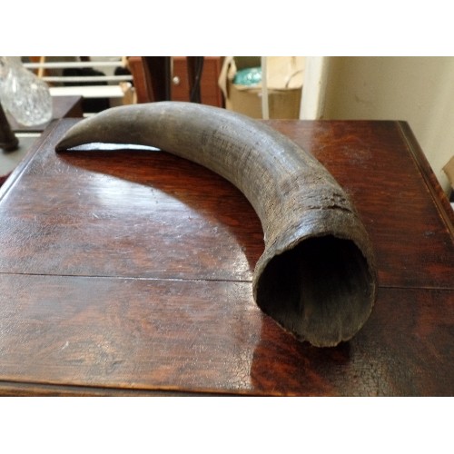 354 - VINTAGE ANIMAL HORN.