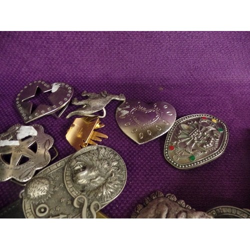 179 - QUANTITY OF INTERESTING BELT BUCKLES, INC A LEO & TAURUS ZODIAC BUCKLES, A CAR, 'HOGS ARE BEAUTIFUL'... 