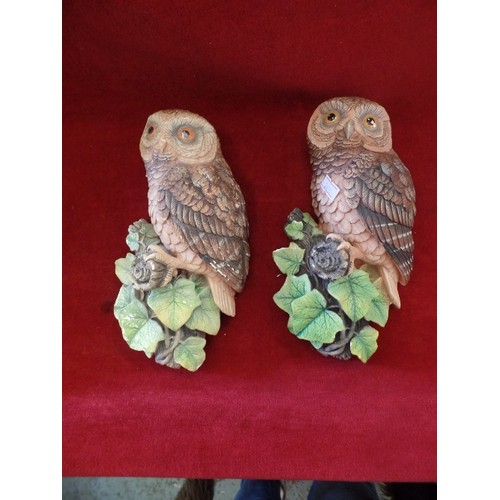 70 - PAIR OF PAINTED PLASTER OWL WALL HANGINGS.