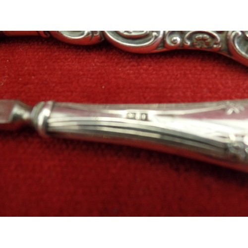 19 - AN EDWARDIAN BOOT BUTTON HOOK WITH STERLING SILVER HANDLE - BIRMINGHAM HALLMARK, A SILVER HANDLED SH... 