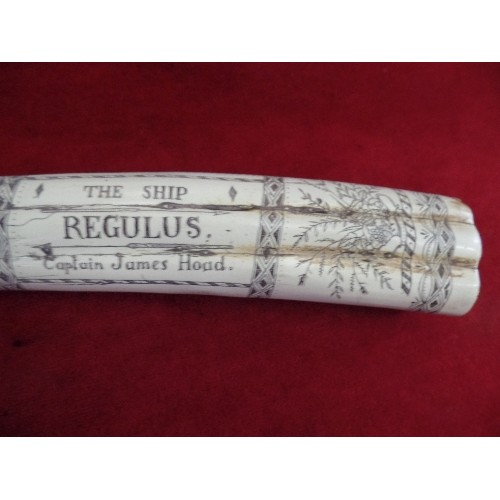 4 - A REPLICA SCRIMSHAW WALRUS TUSK 