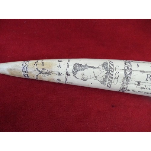 4 - A REPLICA SCRIMSHAW WALRUS TUSK 