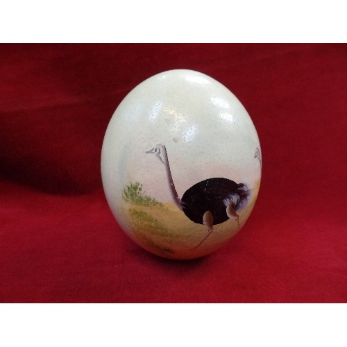 137 - A VINTAGE PAINTED OSTRICH EGG - 12CM DIA X 15CM