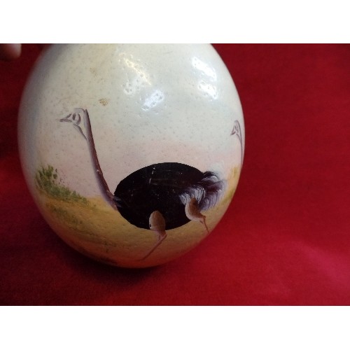 137 - A VINTAGE PAINTED OSTRICH EGG - 12CM DIA X 15CM