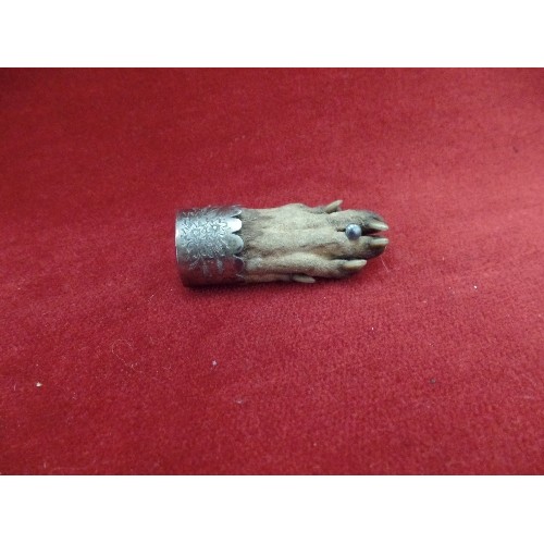 75A - EDWARDIAN BADGER'S FOOT BROOCH IN SILVER PLATED MOUNT