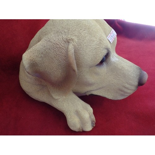 83 - LARGE GOLDEN LABRADOR HEAD. RESIN.