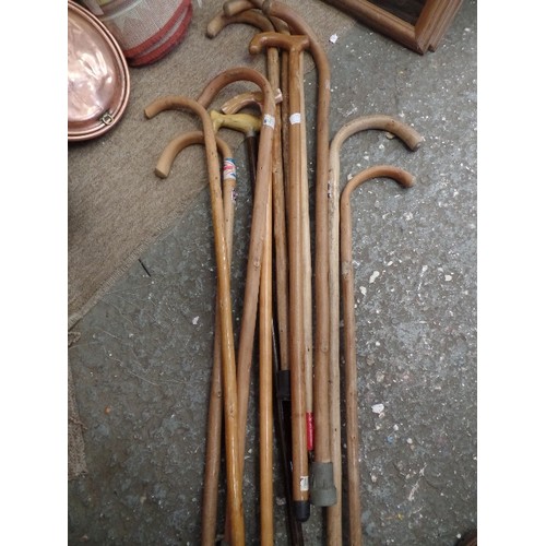 219 - QUANTITY OF BENTWOOD WALKING STICKS.