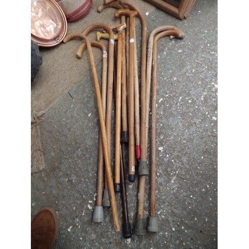 219 - QUANTITY OF BENTWOOD WALKING STICKS.