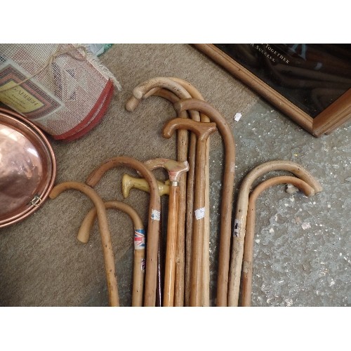 219 - QUANTITY OF BENTWOOD WALKING STICKS.