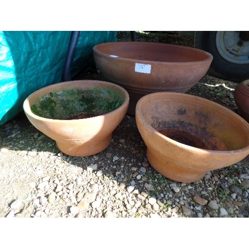 373 - SET OF 3 TERRACOTTA PLANTERS. A LARGE AND 2 SMALLER.