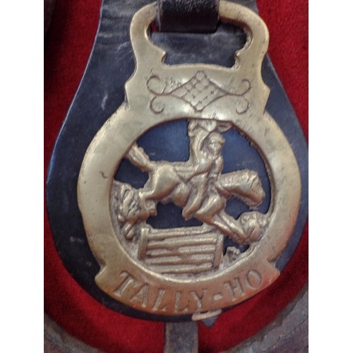 535 - TALLY-HO HORSE BRASS, ON LARGE HORSE SHOE, ALSO HEAVY LEATHER AND BRASS TACK ITEMS.