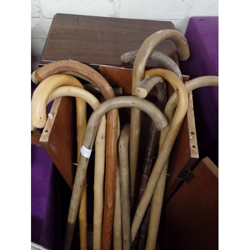 252 - QUANTITY OF BENTWOOD WALKING STICKS.