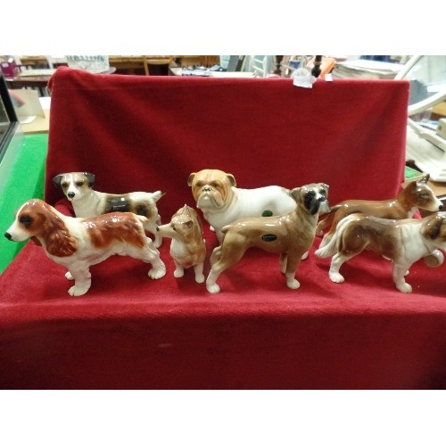 121 - 7 X LARGE CERAMIC DOG FIGURES. INC GREAT DANE, ST BERNARD, CORGI, SPANIEL. [STAFFORDSHIRE-NELSON, CO... 