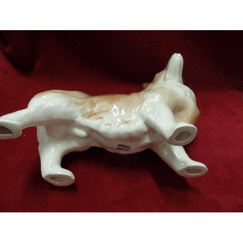 121 - 7 X LARGE CERAMIC DOG FIGURES. INC GREAT DANE, ST BERNARD, CORGI, SPANIEL. [STAFFORDSHIRE-NELSON, CO... 