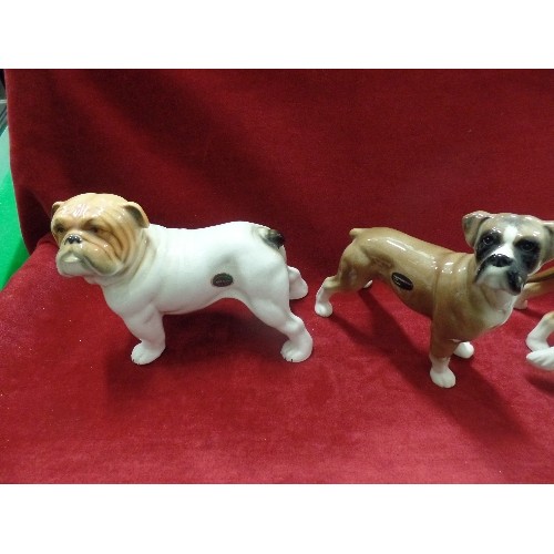 121 - 7 X LARGE CERAMIC DOG FIGURES. INC GREAT DANE, ST BERNARD, CORGI, SPANIEL. [STAFFORDSHIRE-NELSON, CO... 