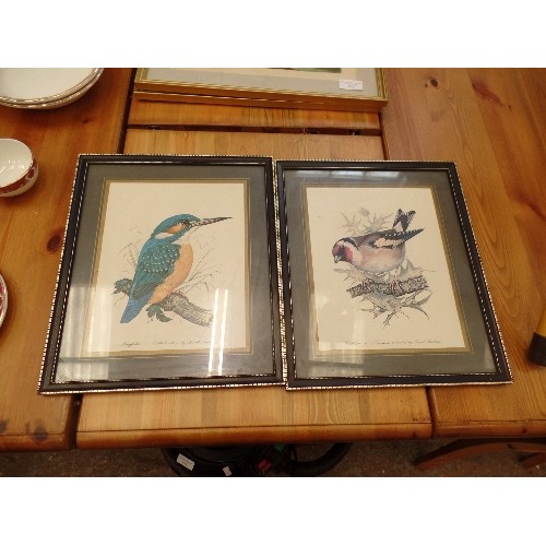 674 - 2 FRAMED/GLAZED PRINTS, BY DAVID ANDREWS. KINFISHER AND GOLDFINCH.