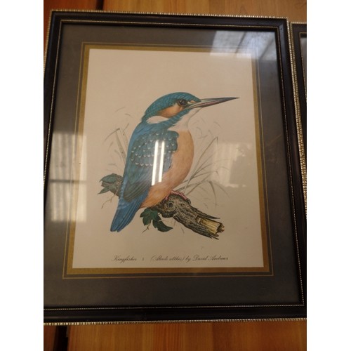 674 - 2 FRAMED/GLAZED PRINTS, BY DAVID ANDREWS. KINFISHER AND GOLDFINCH.