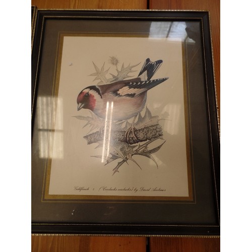 674 - 2 FRAMED/GLAZED PRINTS, BY DAVID ANDREWS. KINFISHER AND GOLDFINCH.