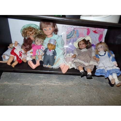 786 - SHELF OF MIXED COLLECTORS AND OTHER DOLLS AND A BOXED 4 DOLLS FASHION DRESSES