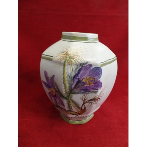 548A - 2 TERRACOTTA PAINTED VASES SOLANUM DULCAMARS AND ANEMONE PULSATILLA FLOWER DECORATION