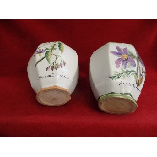 548A - 2 TERRACOTTA PAINTED VASES SOLANUM DULCAMARS AND ANEMONE PULSATILLA FLOWER DECORATION