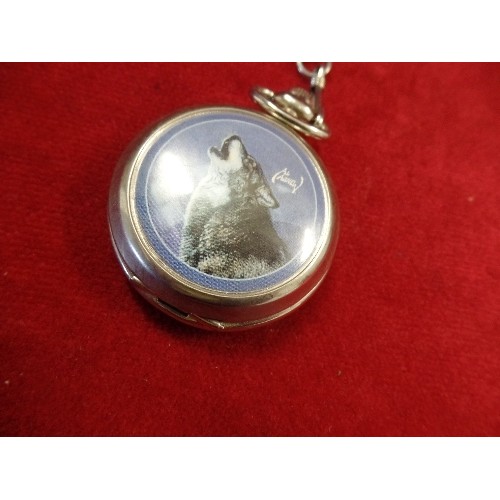 23 - A WOLF POCKET WATCH BY WESTMINSTER FULL HUNTER WITH FOB CHAIN WORKING